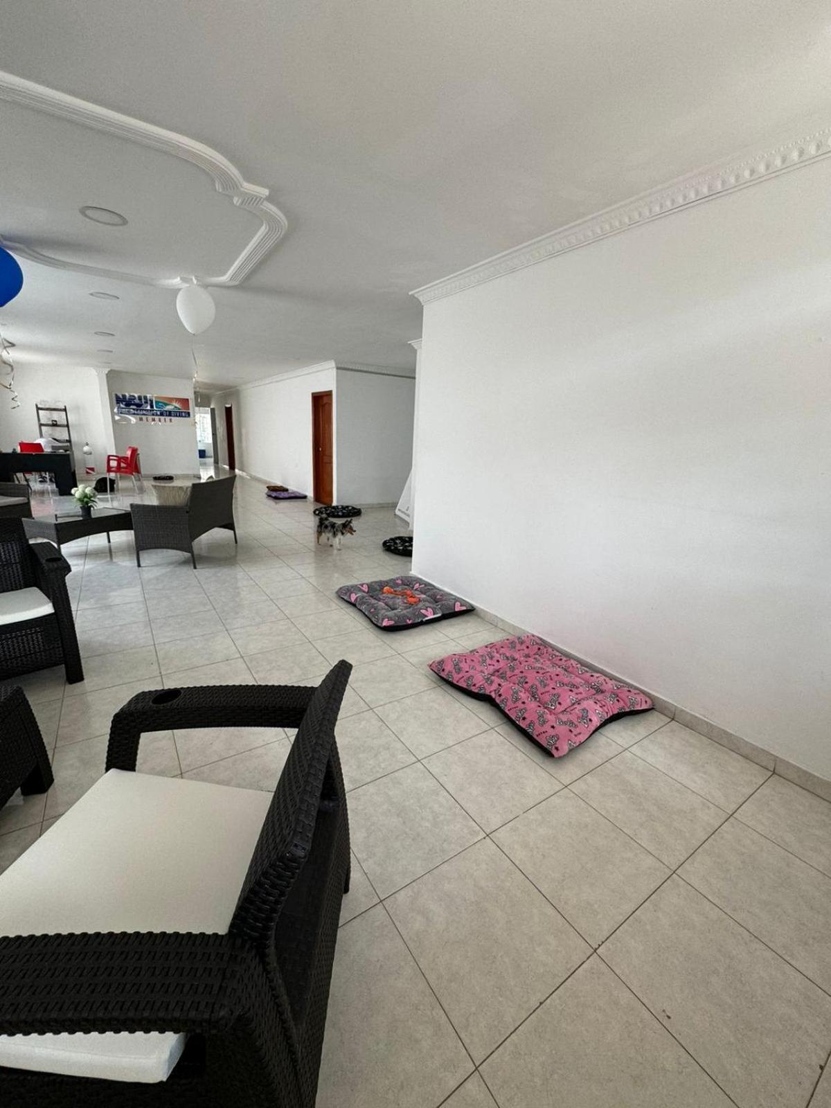 Calipso Dive And Pet Center Hotel - Santa Marta (Magdalena) — Fotos 3